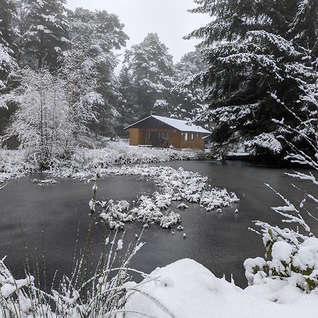 Villa Reuben'S Highland Retreat - Speyside Carrbridge Exterior foto